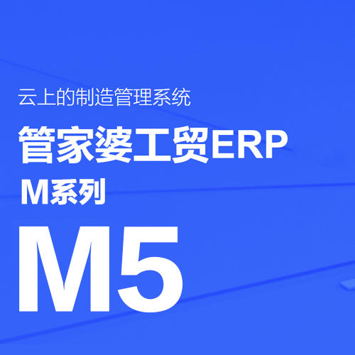 管家婆工贸ERP M5