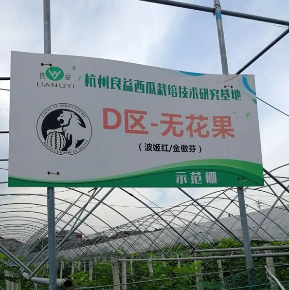 客户目前使用功能概括，业务员主要是访销模式，在跟客户交流沟通时一边手写记录，一边聊商品，经常跟不上节奏，业务员对销售报表、应收应付使用情况不是很了解，管家婆软件解决方案。