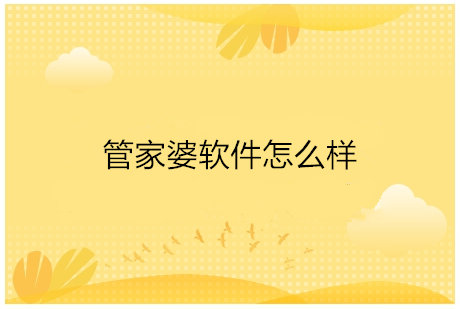 管家婆软件怎么样