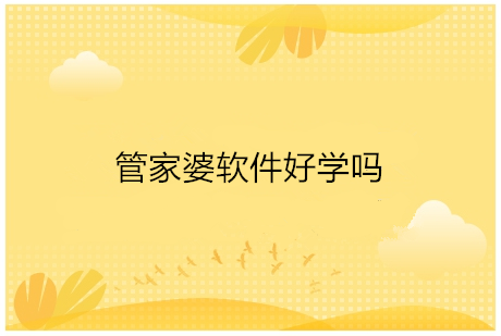管家婆软件好学吗